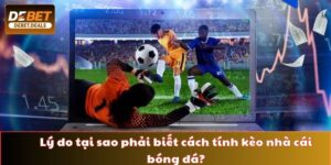 Giải mã lý do tại sao người chơi cần biết tính kèo nhà cái bóng đá